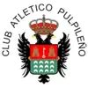 AT普尔